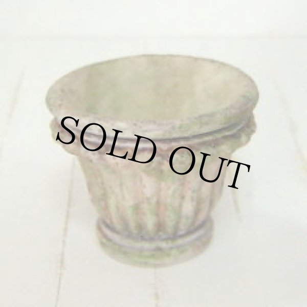 画像2: 鉢（ヨーロピアン）M (2)