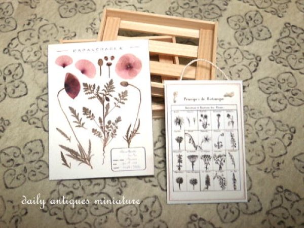 画像5: 木箱M（浅型） (5)