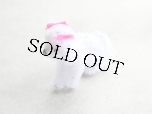 画像5: マルチーズ (5)