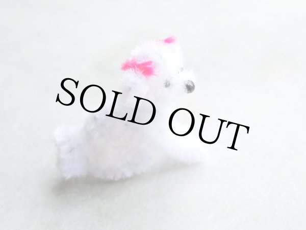 画像4: マルチーズ (4)