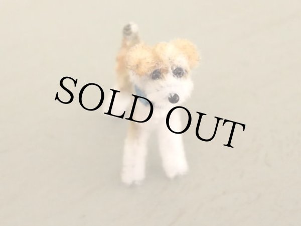 画像3: ワイヤーフォックステリア Cooper（クーパー） (3)