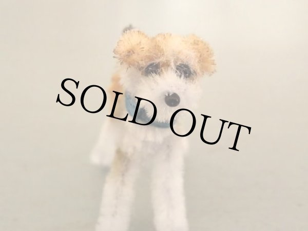 画像2: ワイヤーフォックステリア Cooper（クーパー） (2)