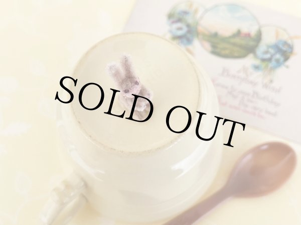 画像6: うさぎ Poe（ポー） (6)