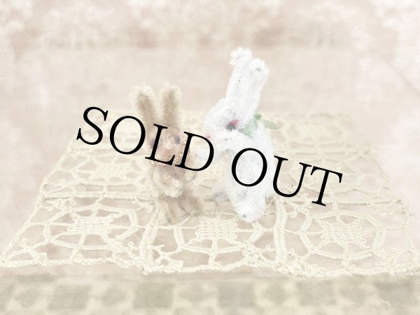 画像8: うさぎ Poe（ポー） (8)