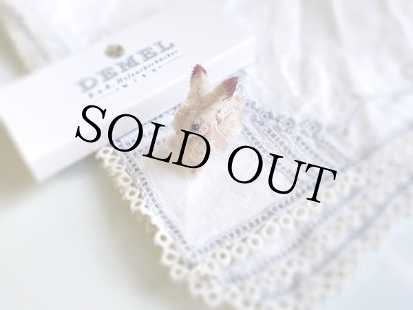 画像3: うさぎ Evi（エヴィ） (3)