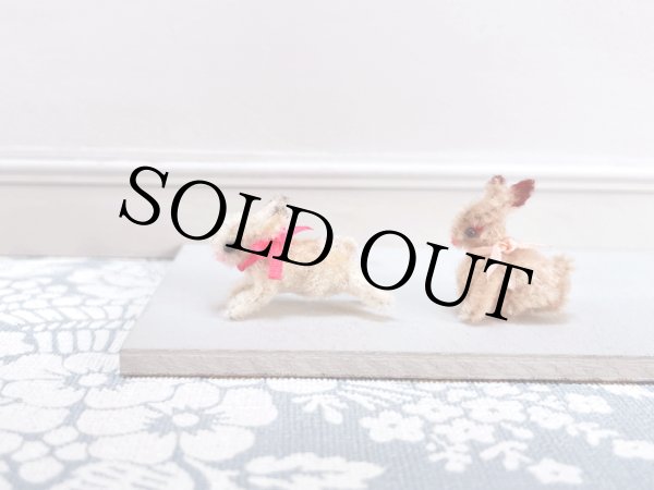 画像6: うさぎ Evi（エヴィ） (6)