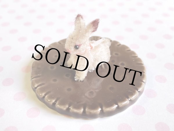 画像5: うさぎ Evi（エヴィ） (5)