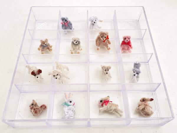 画像12: シュナウザー (12)