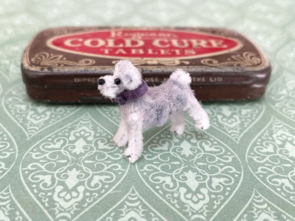 画像6: シュナウザー (6)