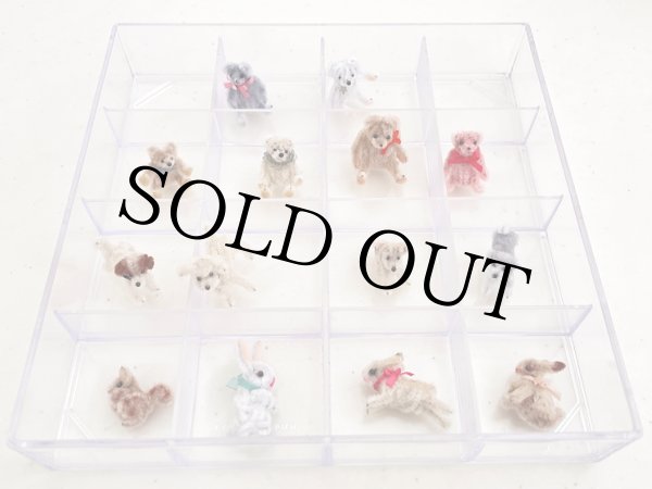 画像8: うさぎ Evi（エヴィ） (8)