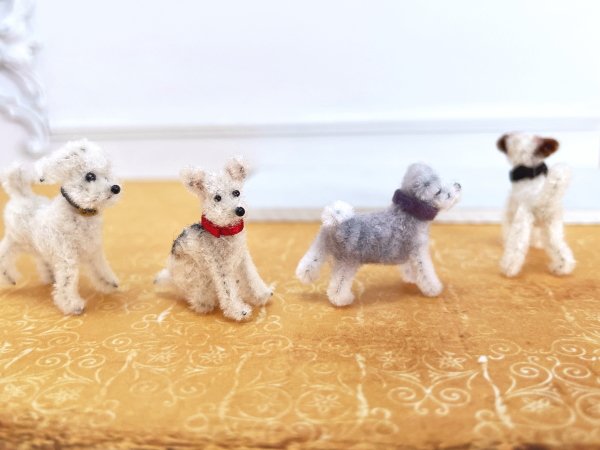 画像11: シュナウザー (11)