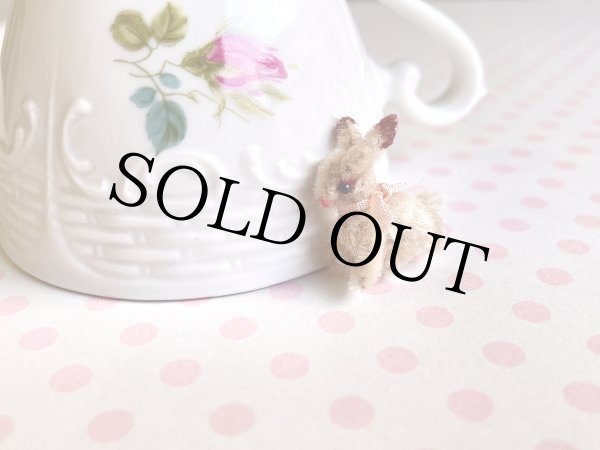 画像2: うさぎ Evi（エヴィ） (2)