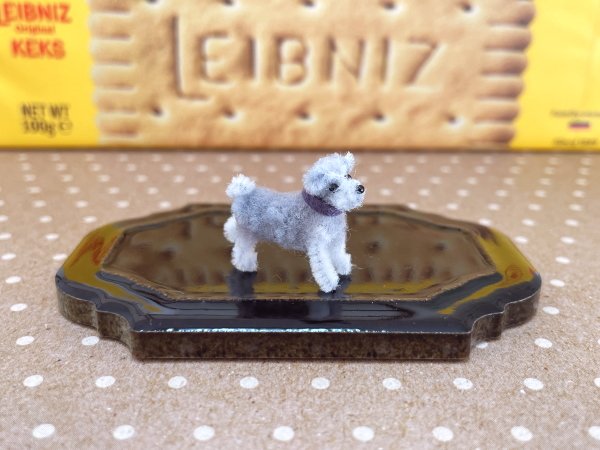 画像4: シュナウザー (4)