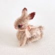 画像1: うさぎ Evi（エヴィ） (1)