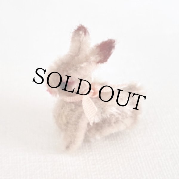 画像1: うさぎ Evi（エヴィ） (1)