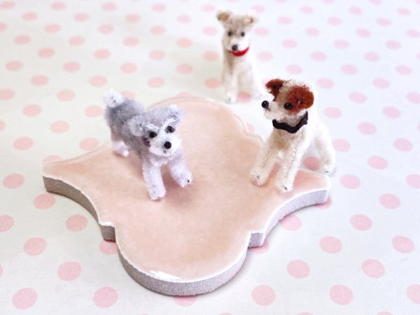 画像7: シュナウザー (7)