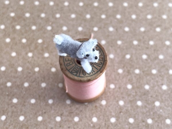 画像3: シュナウザー (3)