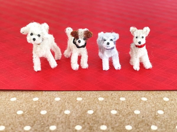 画像9: シュナウザー (9)