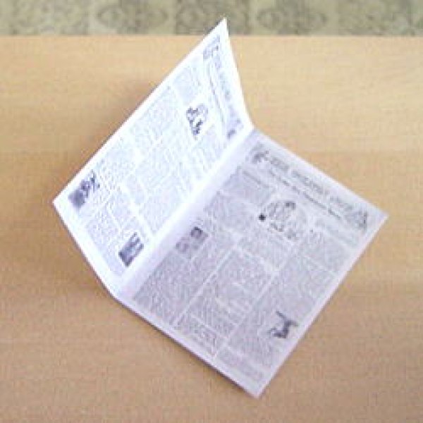 画像1: 新聞 (1)